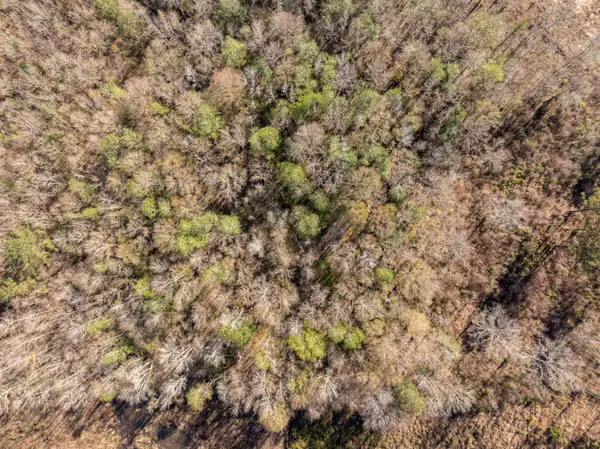 5.5 Acres Lynn Ray Rd., Petal, MS 39465