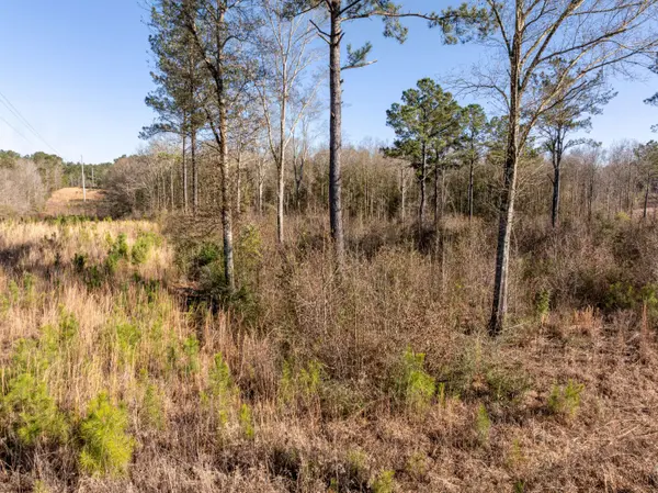 5.5 Acres Lynn Ray Rd., Petal, MS 39465