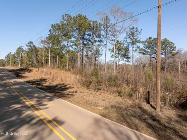5.5 Acres Lynn Ray Road, Petal, MS 39465