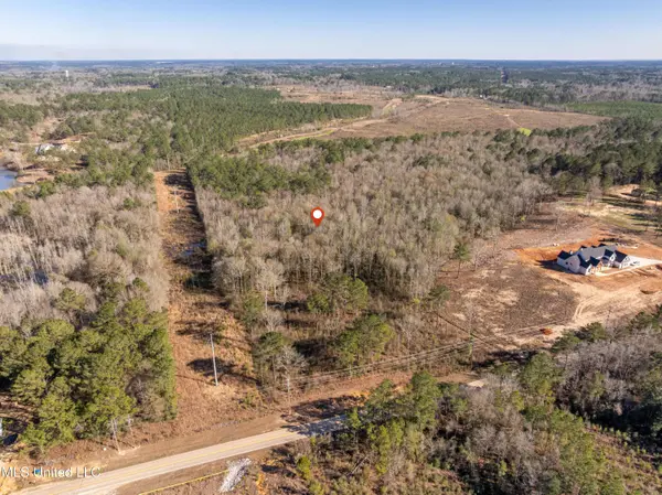 5.5 Acres Lynn Ray Road, Petal, MS 39465