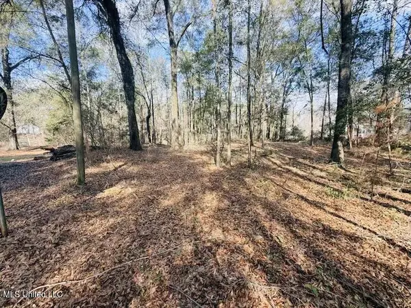 87 Russell Lane, Moselle, MS 39459