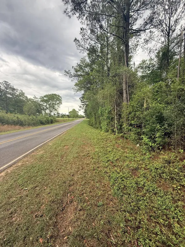 00 Rainey Rd., Moselle, MS 39459