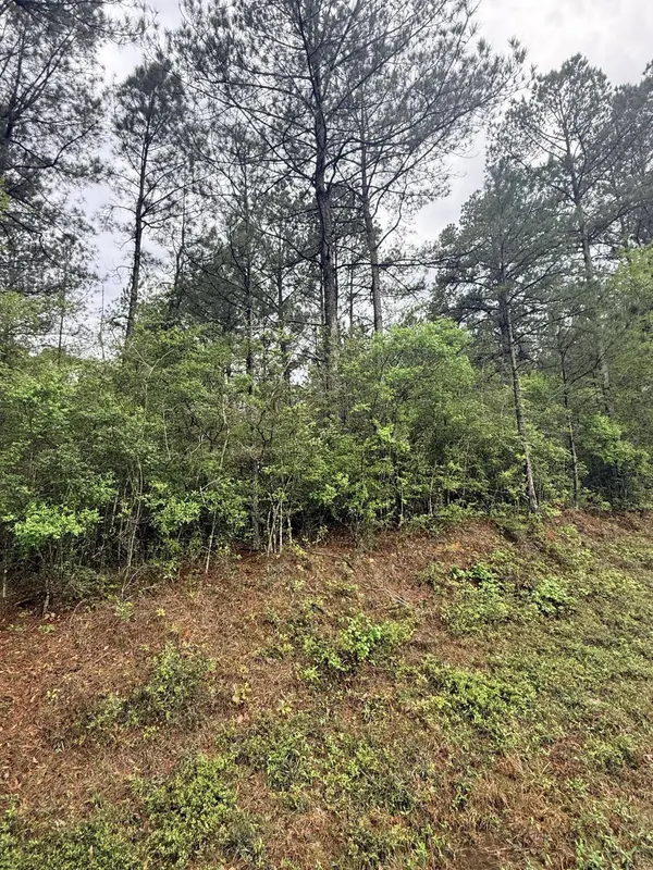 00 Rainey Rd., Moselle, MS 39459