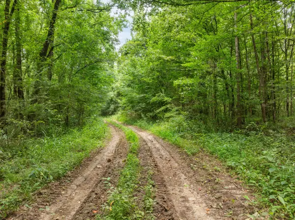 0 E of Hwy 45, Waynesboro, MS 39367