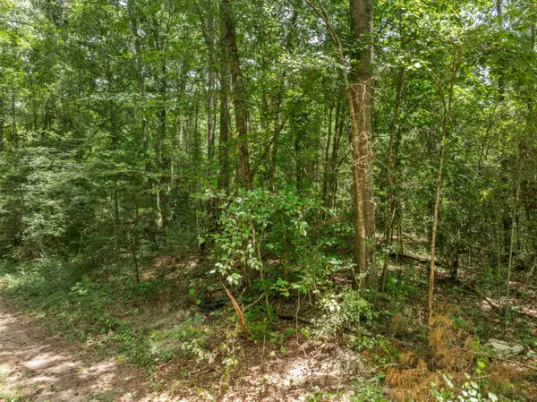 0 E of Hwy 45, Waynesboro, MS 39367
