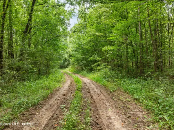 0 E Of Hwy 45, Waynesboro, MS 39367