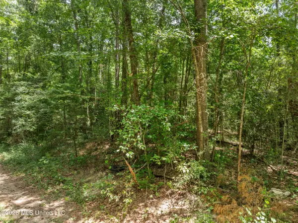 0 E Of Hwy 45, Waynesboro, MS 39367