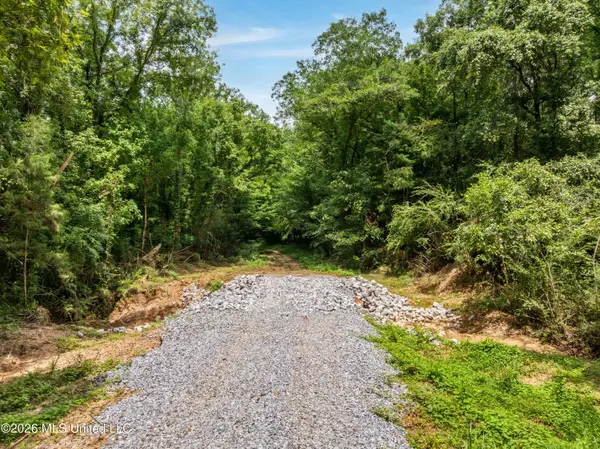 0 E Of Hwy 45, Waynesboro, MS 39367
