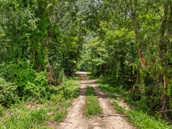 0 E of Hwy 45, Waynesboro, MS 39367