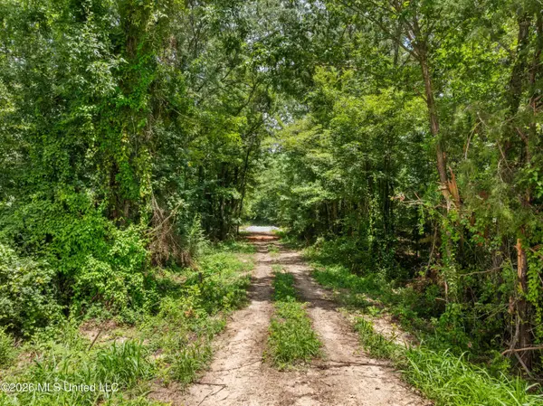 0 E Of Hwy 45, Waynesboro, MS 39367