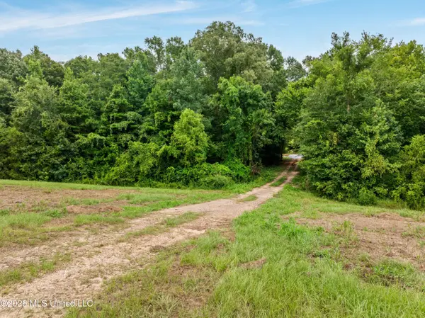 0 E Of Hwy 45, Waynesboro, MS 39367