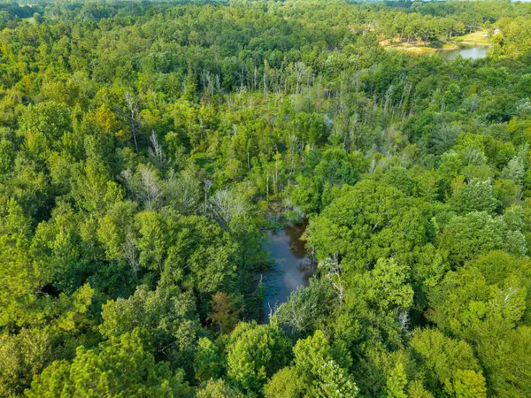 24 Ac Lynn Ray Rd., Petal, MS 39465
