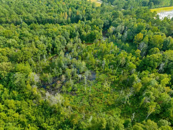 24 Ac Lynn Ray Rd., Petal, MS 39465