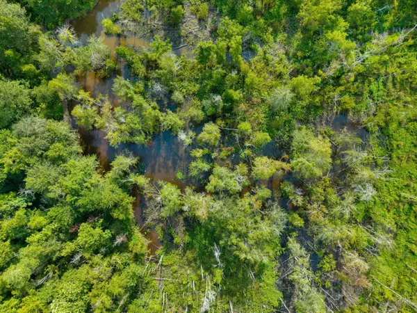 24 Ac Lynn Ray Rd., Petal, MS 39465