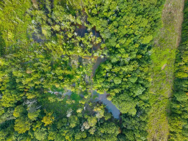 24 Ac Lynn Ray Rd., Petal, MS 39465