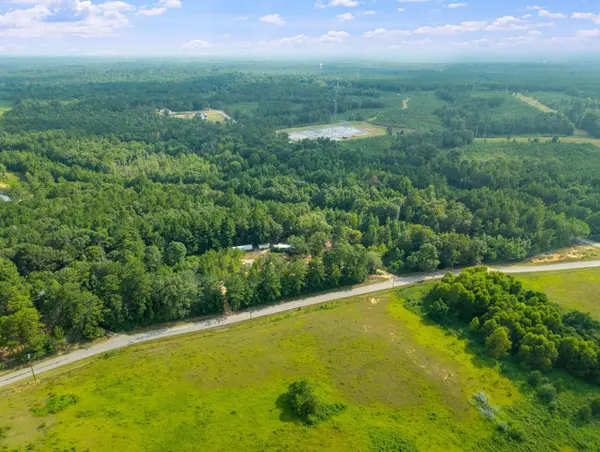 24 Ac Lynn Ray Rd., Petal, MS 39465