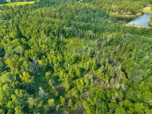 24 Ac Lynn Ray Rd., Petal, MS 39465