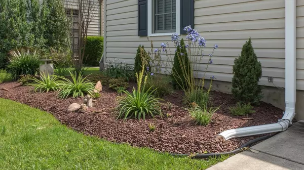 A Guide to Eco-Friendly and Green Homes in the Summerville SC Area