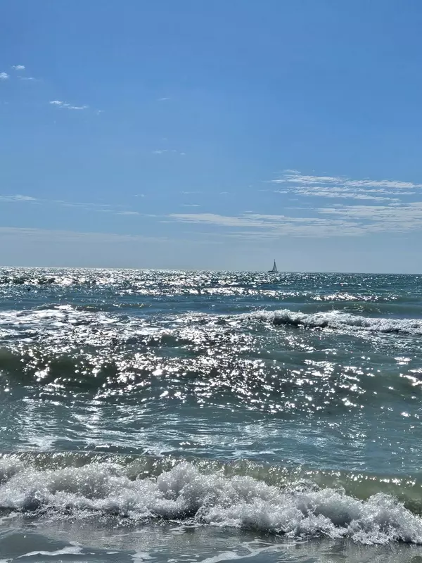 Escape the Ordinary: Top 5 Day Trips for Venice Residents