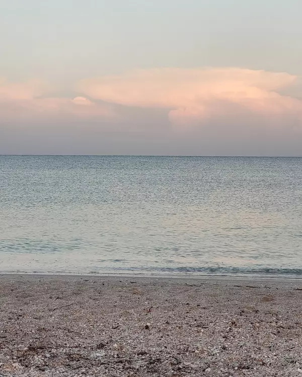 Port Charlotte vs. Venice: Unpacking the Lifestyle and Cost Differences in Southwest Florida