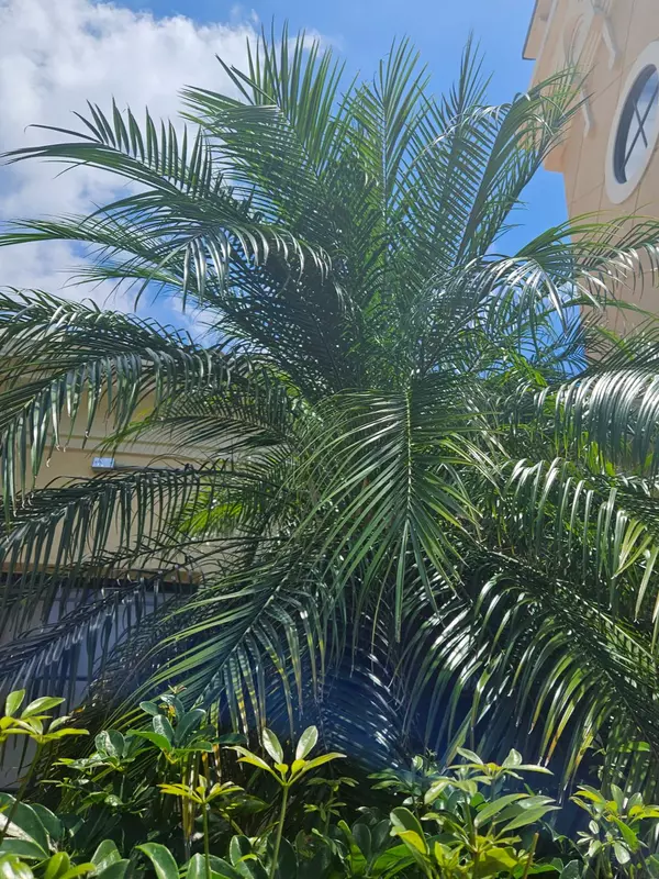 Englewood vs. Venice, FL: Finding Your Perfect Florida Paradise for Relocation, Retirement, or Snowbirding