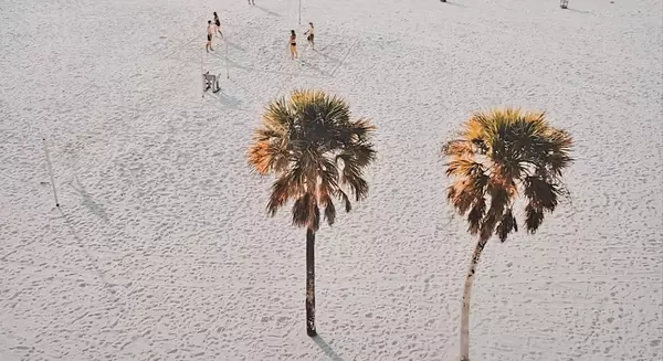 Hidden Costs of Moving to Venice: What to Budget For Beyond the Mortgage!