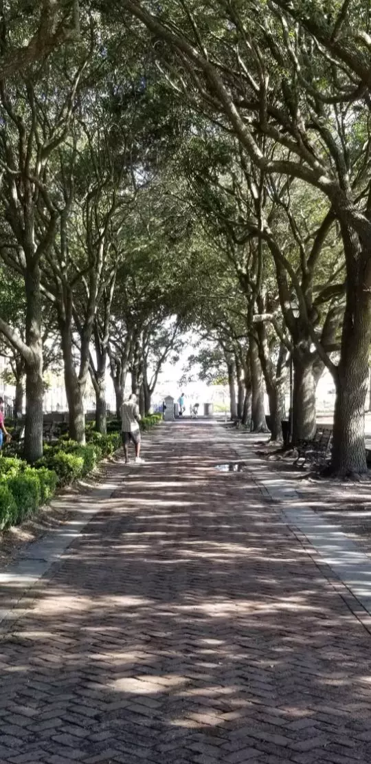 Unlocking Summerville, SC: Your Comprehensive Guide to the Cost of Living and Housing Market