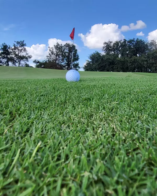 A Guide to Summerville's Golf Course Communities