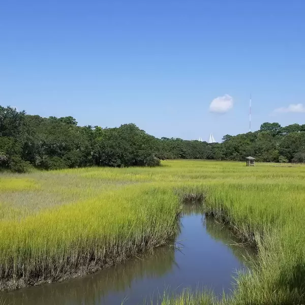 Understanding Your Local Market: A Deep Dive into High-Demand Neighborhoods in Summerville SC