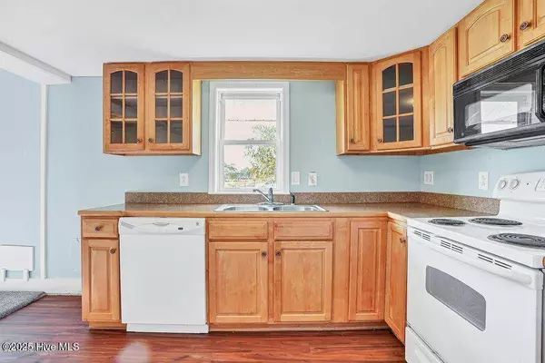 159 Shady Lane RD, Willard, NC 28478