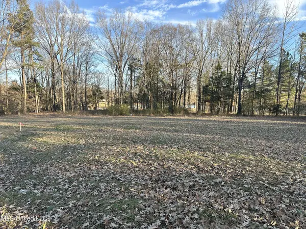 Douglas Rd, Hernando, MS 38632