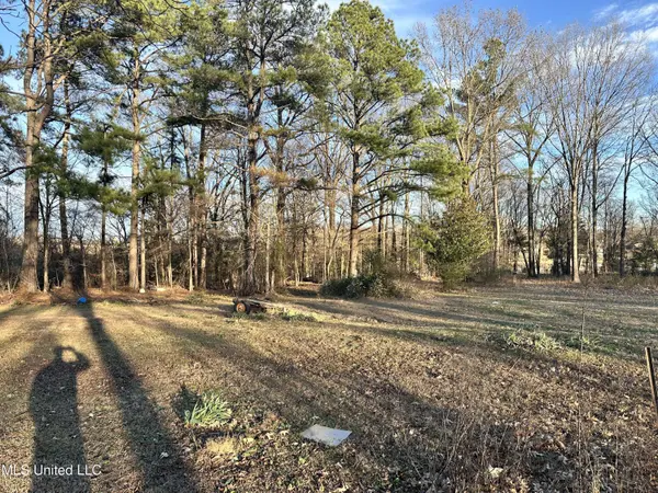 Douglas Road, Hernando, MS 38632