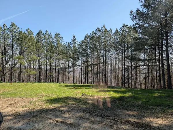 Lot 2241 Riverbend Rd RD, Guild, TN 37340
