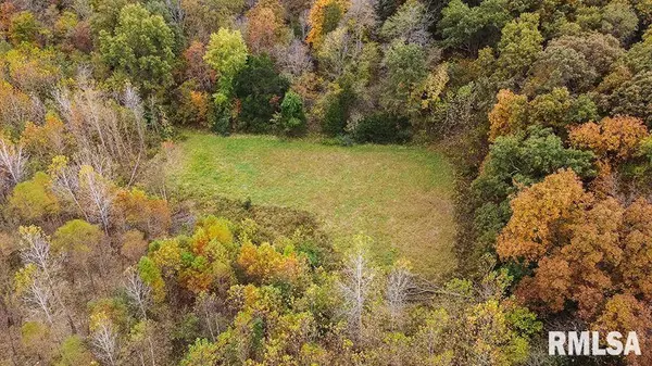 484 HUMMINGBIRD DR, Louisville, IL 62858