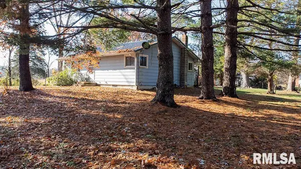 7319 MALONE RD, Alma, IL 62807