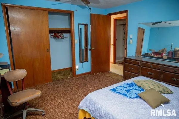 7319 MALONE RD, Alma, IL 62807