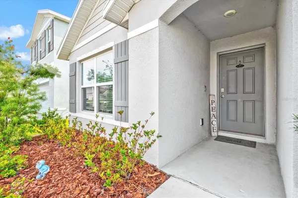 16746 PARKER RIVER ST, Wimauma, FL 33598