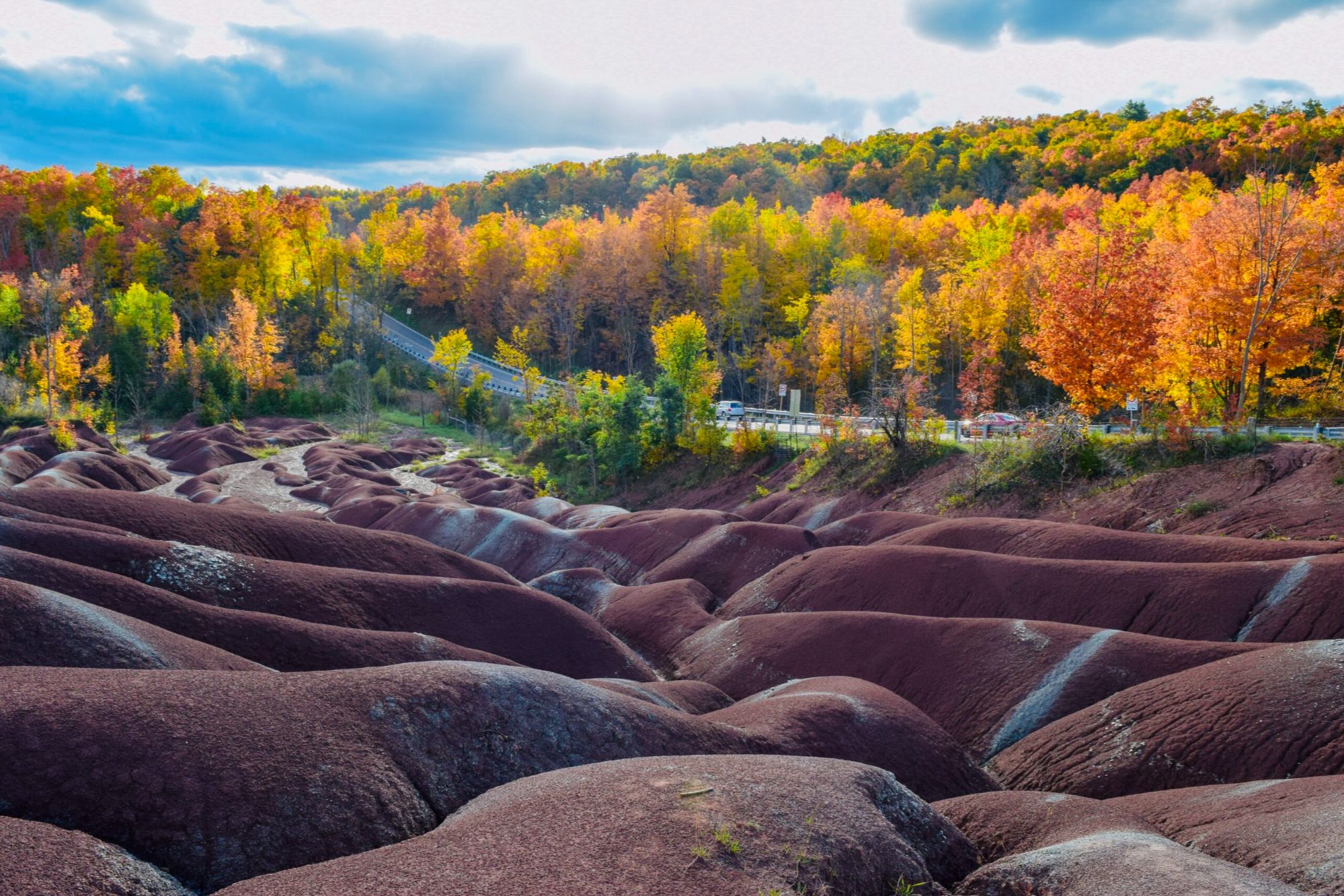 Caledon