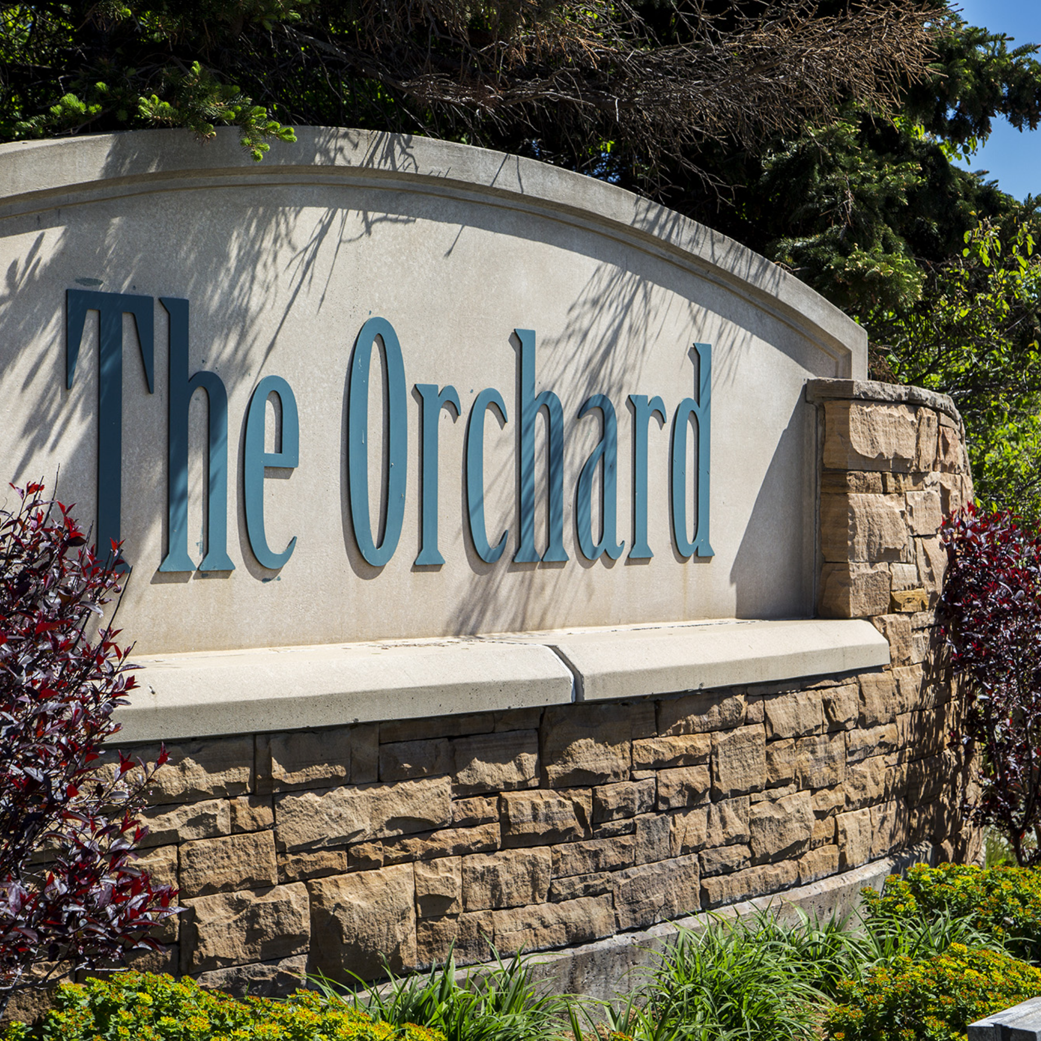 Orchard