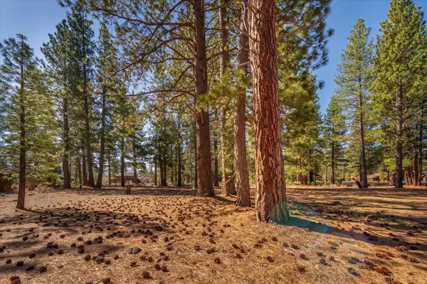 13559 Fairway Drive, Truckee, CA 96161