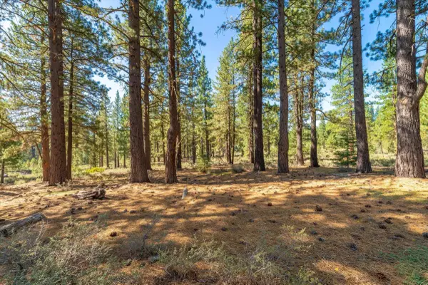 10551 Brickell Court, Truckee, CA 96161
