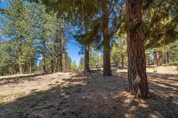 11555 China Camp Road, Truckee, CA 96161