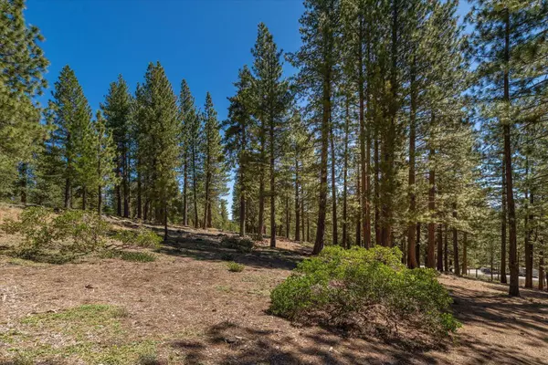 11555 China Camp Road, Truckee, CA 96161