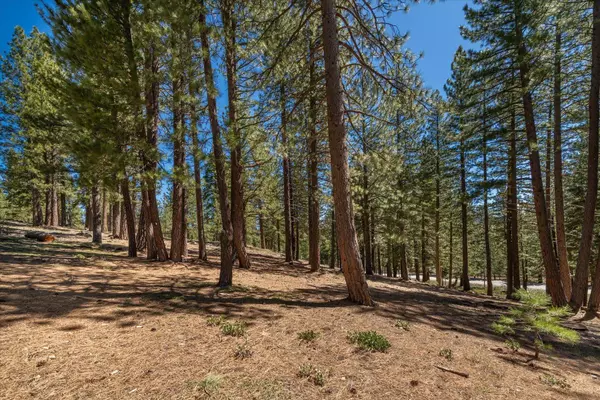 11555 China Camp Road, Truckee, CA 96161