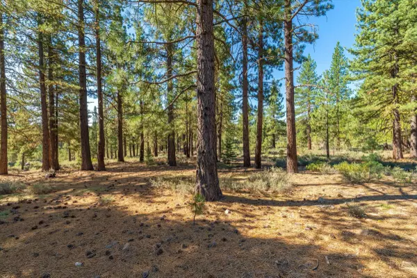 10551 Brickell Court, Truckee, CA 96161