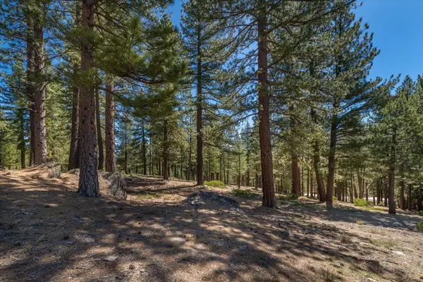 11569 China Camp Road, Truckee, CA 96161