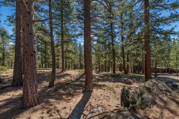 11569 China Camp Road, Truckee, CA 96161