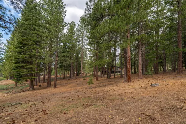 11464 China Camp Road, Truckee, CA 96161
