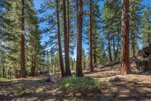 11569 China Camp Road, Truckee, CA 96161