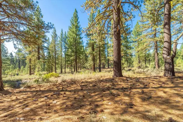 10551 Brickell Court, Truckee, CA 96161
